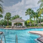 Palm Tree Planted Near Pool